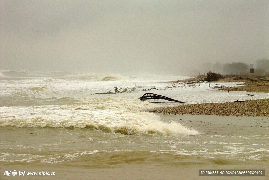 海浪中的冲浪者