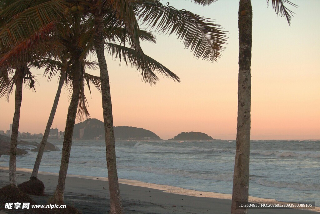 夕阳下的椰树海滩美景