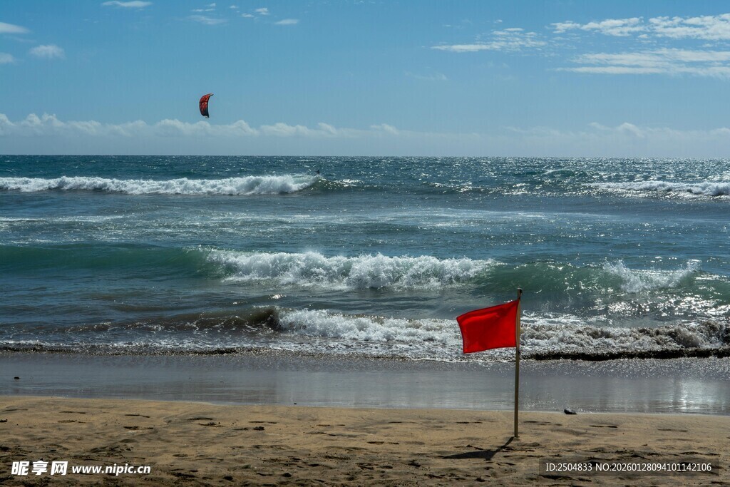 海滩红旗与远处海鸟风景