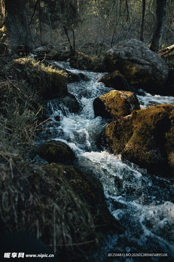 山间溪流潺潺