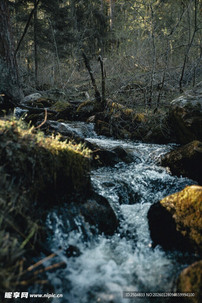 山间溪流潺潺的自然美景
