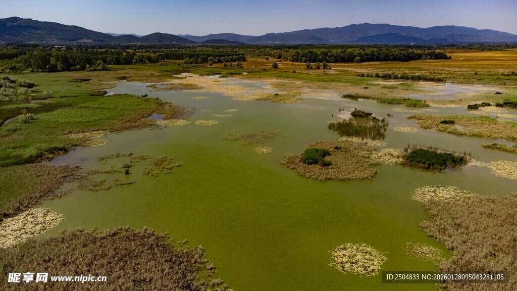 湿地风光 绿意盎然的自然景
