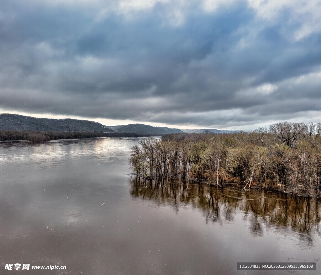 湖畔风光 枯树与多云天色