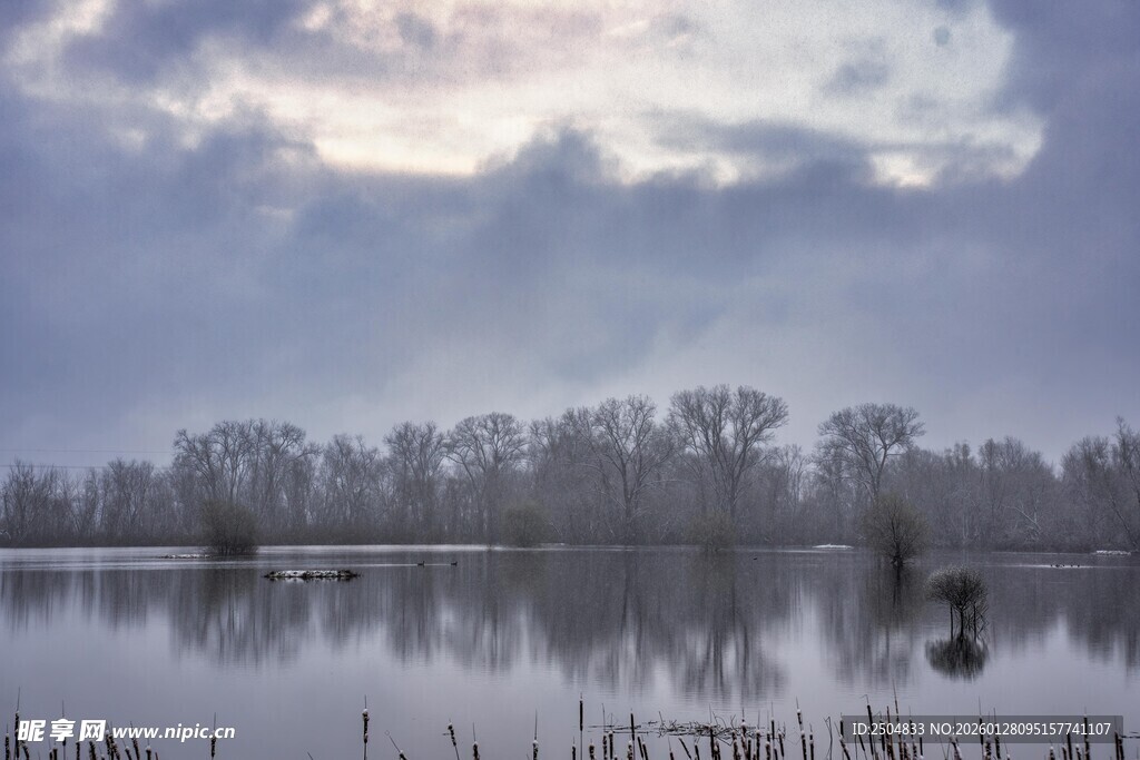 湖畔雾霭中的静谧景致