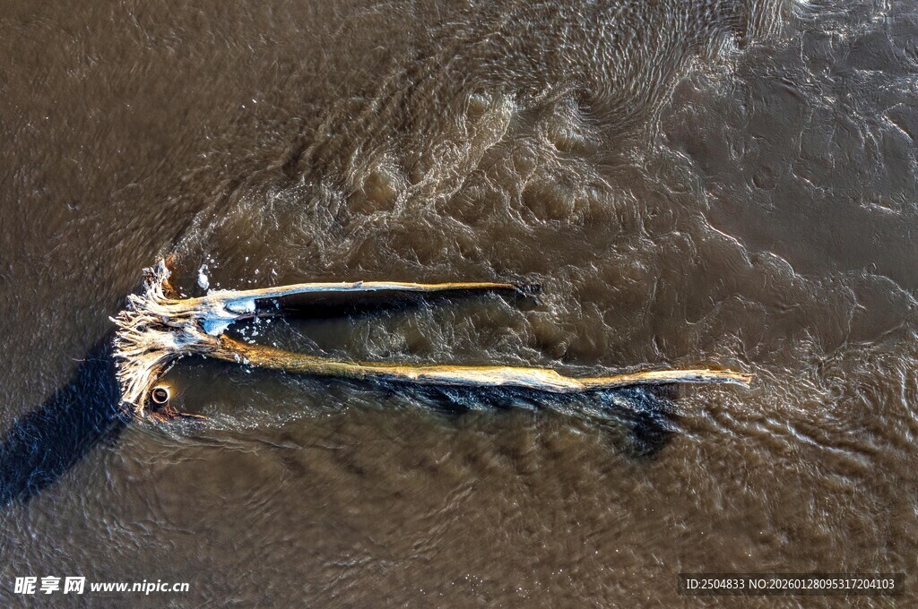 海滩上搁浅的破旧船只