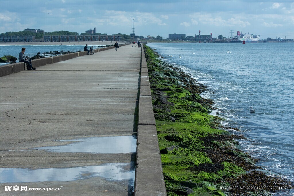 海边长堤 绿植点缀的景致