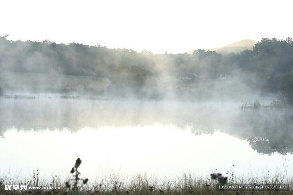 晨雾中的静谧湖泊