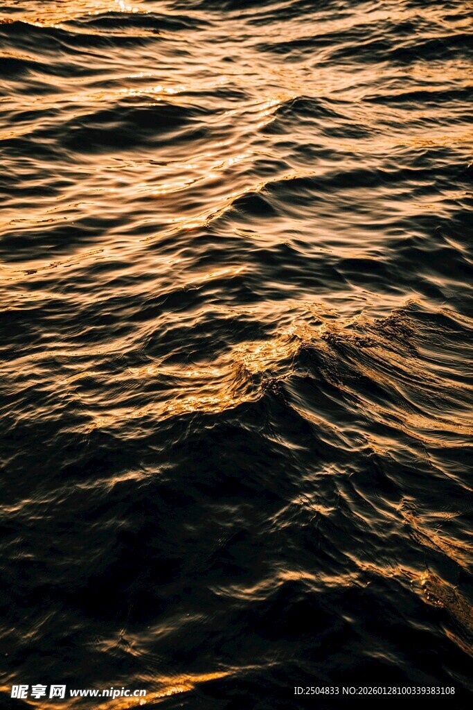 金色波光粼粼的海面