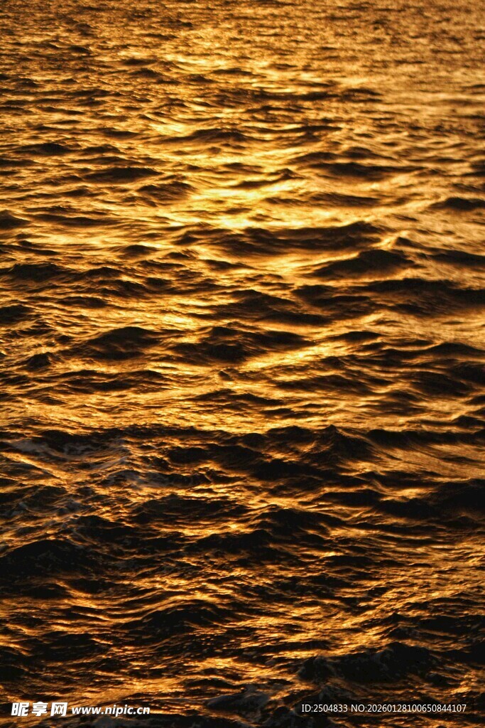 金色波光粼粼的海面