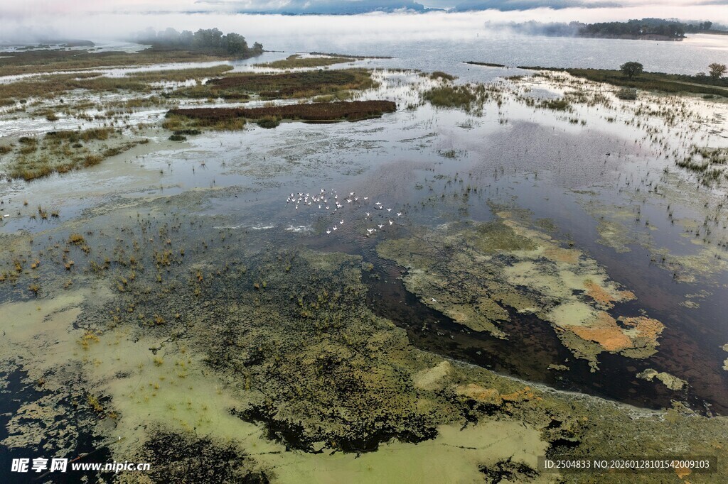 湿地景观俯瞰图
