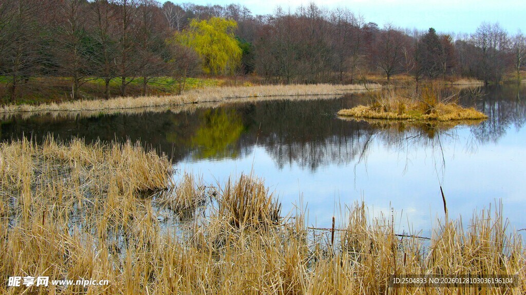 宁静湖畔的自然景致