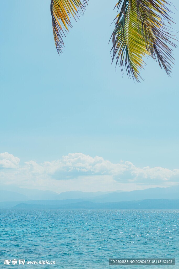 海边椰树与蔚蓝大海