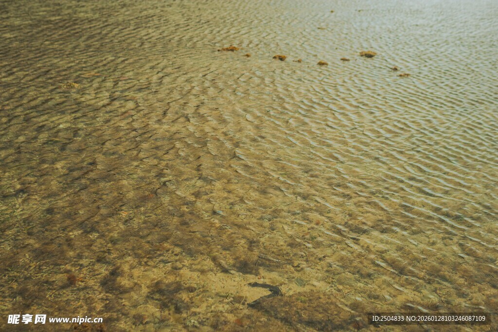 沙滩上的串串脚印