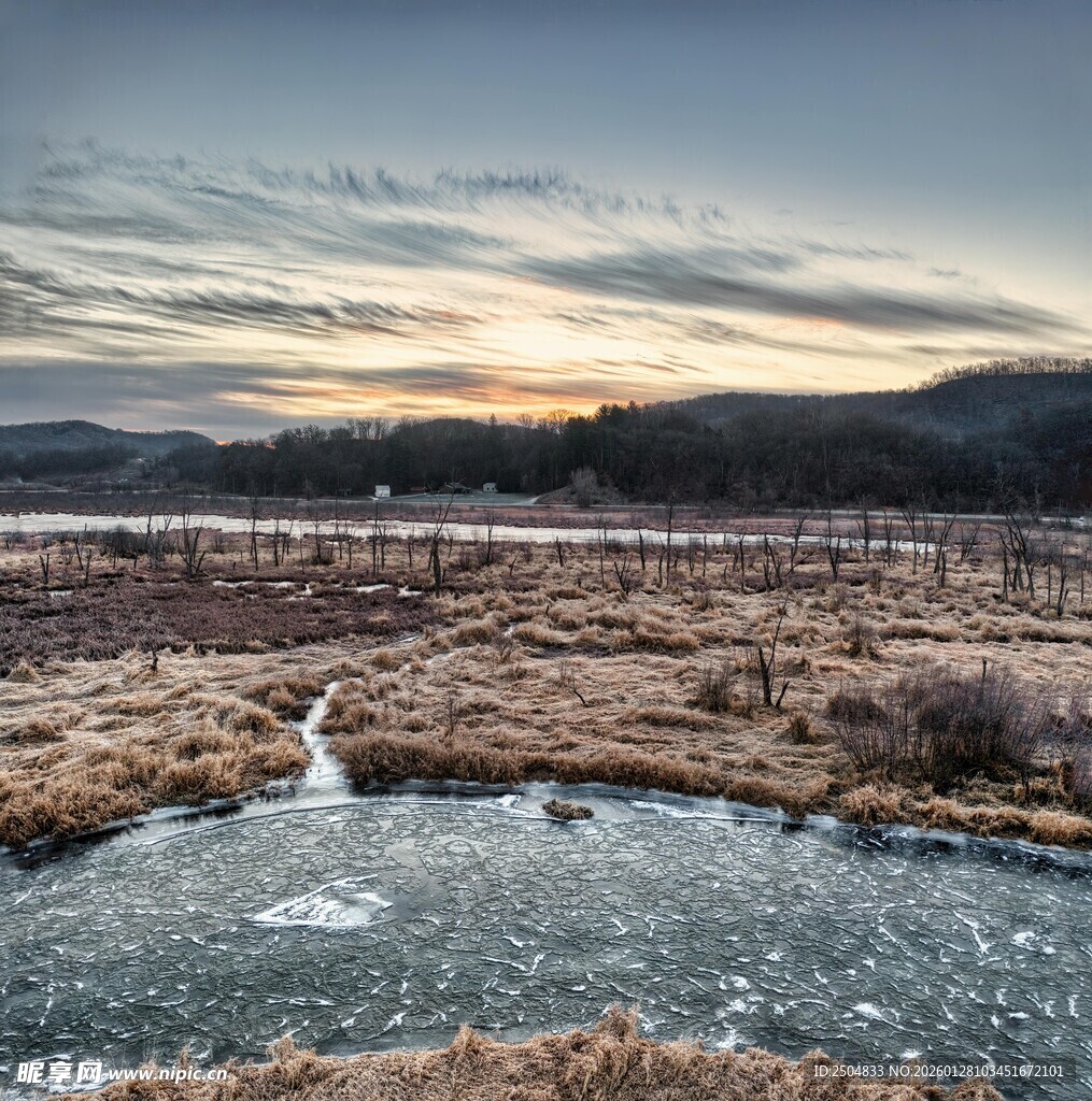 冬日河畔的孤鹤美景