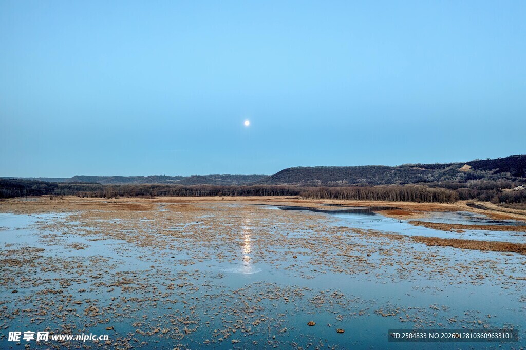 月光下的宁静湿地景象