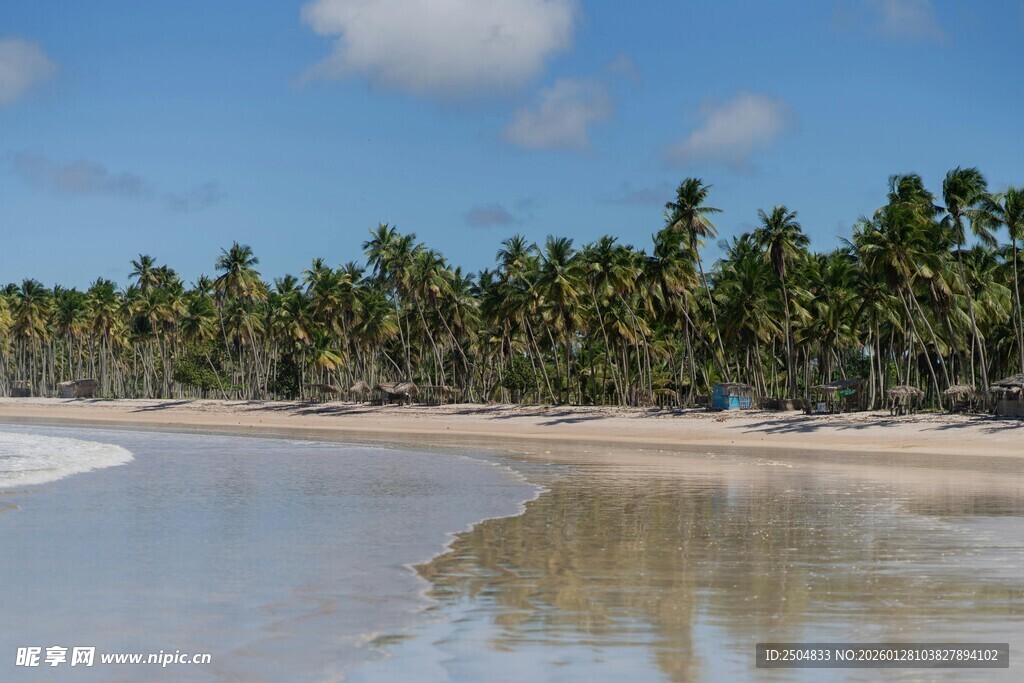 热带海滩椰林风光美景