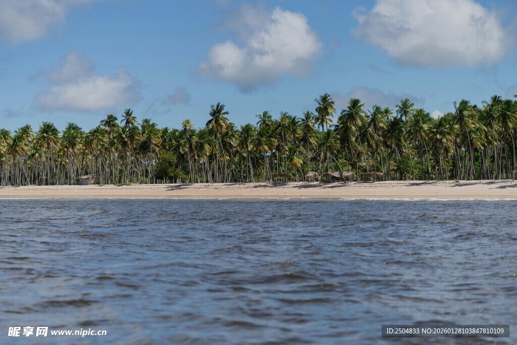 热带海滩椰林海景风光