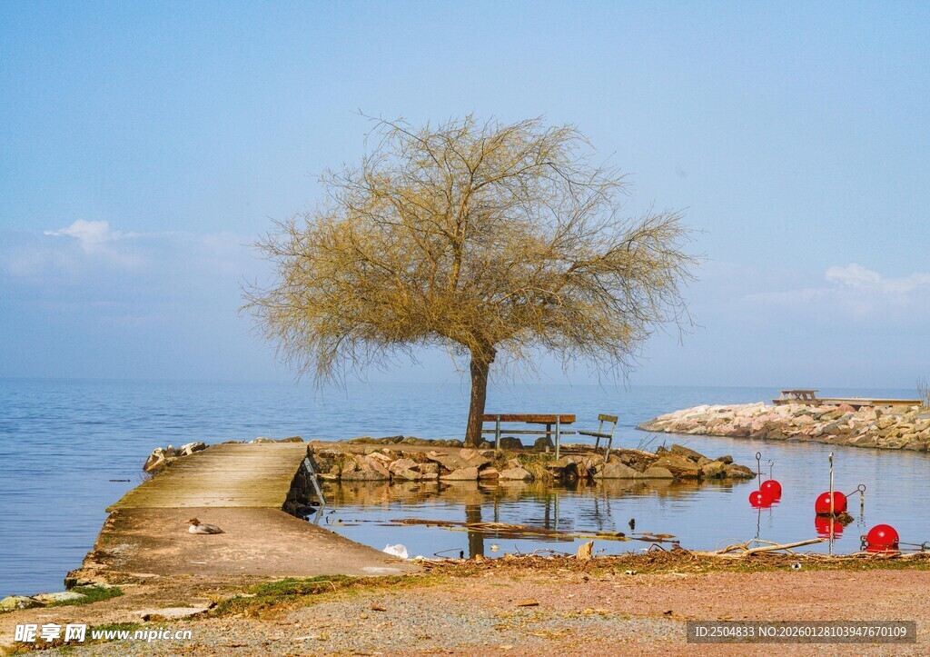 海边孤树旁的红色小船