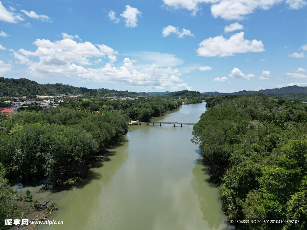 河畔绿意盎然的自然风光