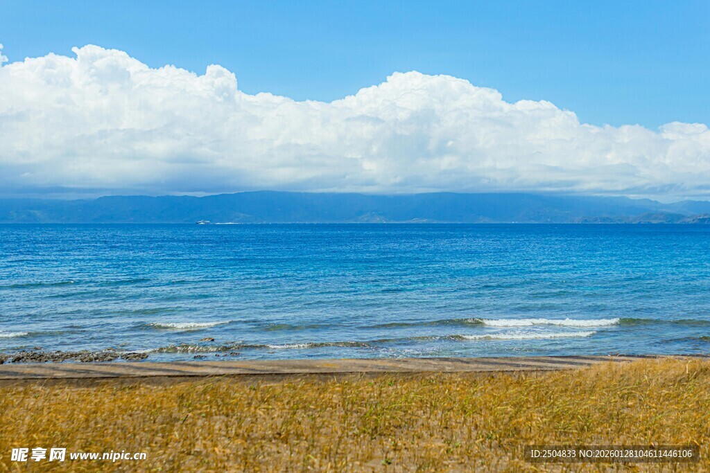 海边草地与辽阔蓝色海洋