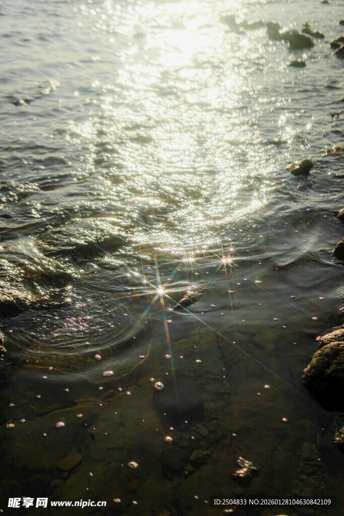 阳光洒落波光粼粼的水面