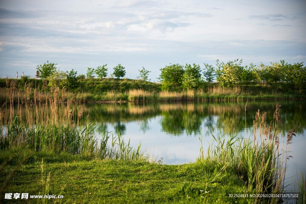 宁静湖畔自然风光