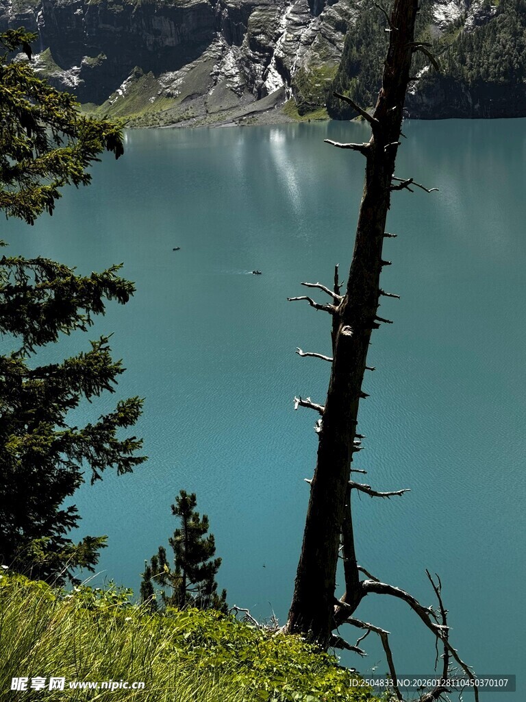 山间幽蓝湖泊与树木