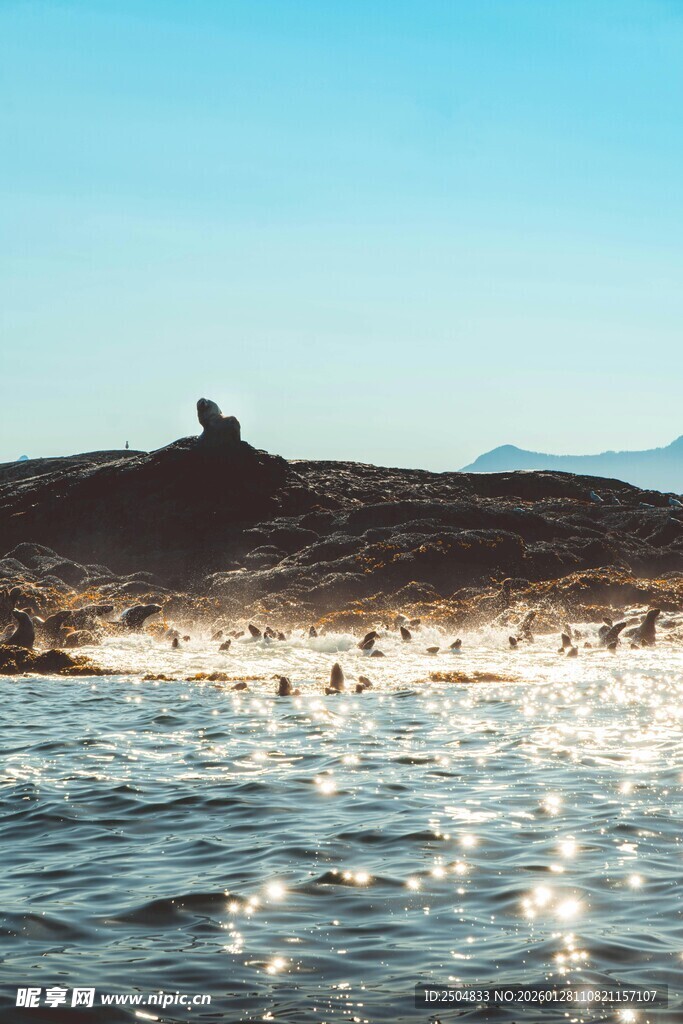 阳光沙滩上的欢乐人群