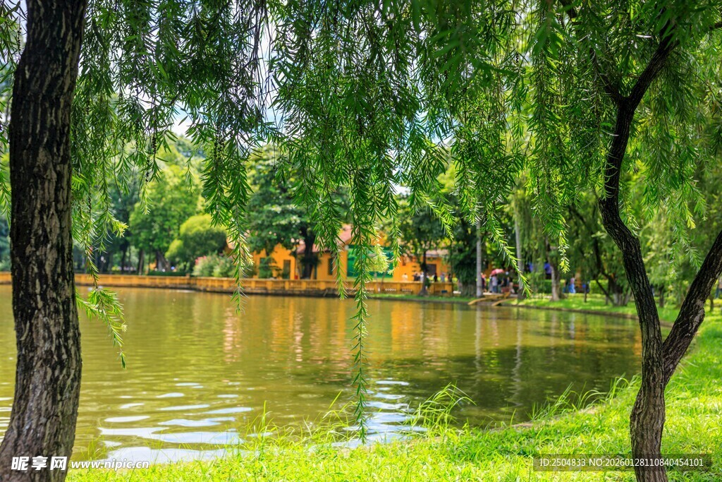 湖畔绿树环绕的宁静景致