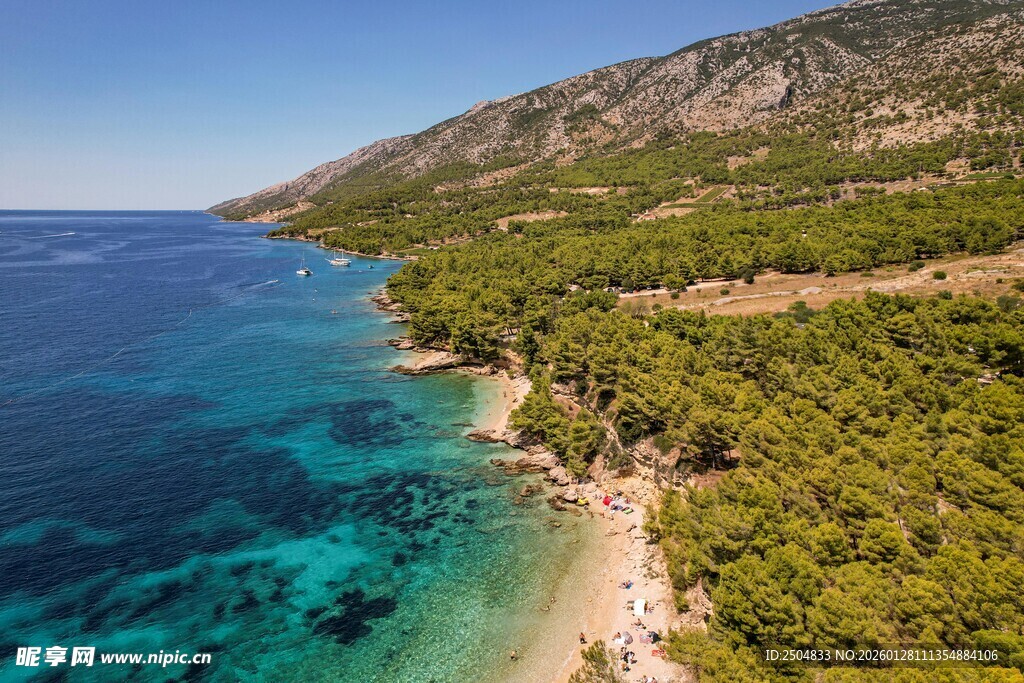 美丽海滨风光 葱郁海岸线