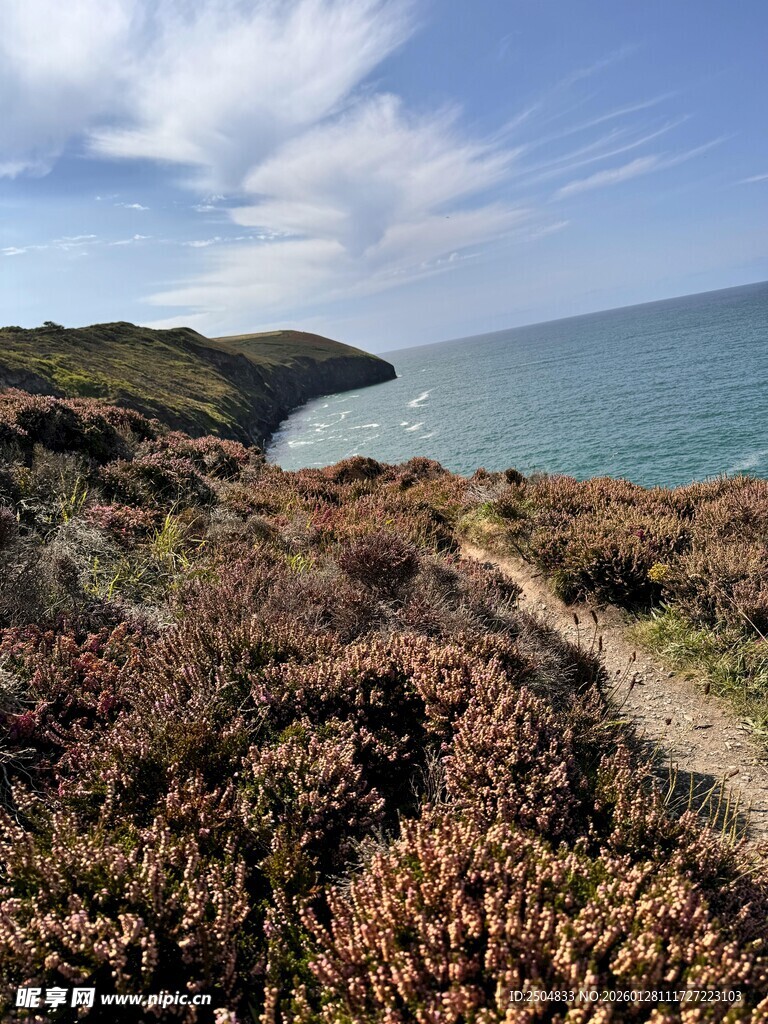 海岸边的自然风光小径