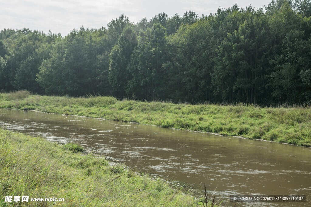 乡村河流旁的葱郁林地