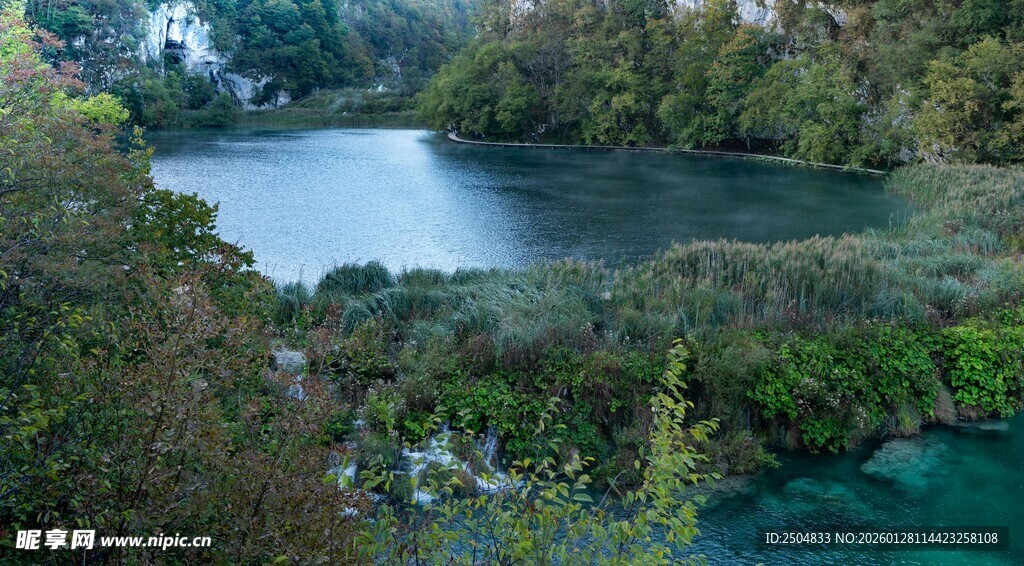 秀丽湖景与繁茂植被