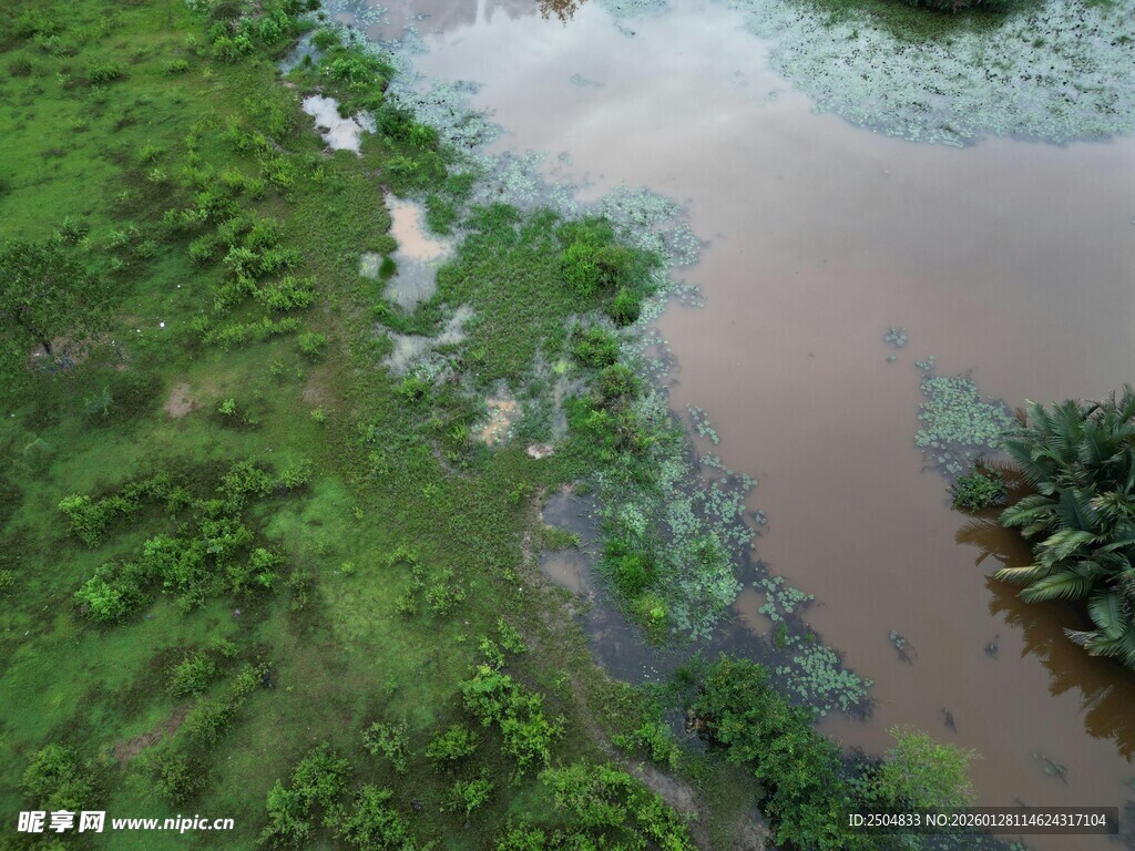 湿地景观 绿水青草相依