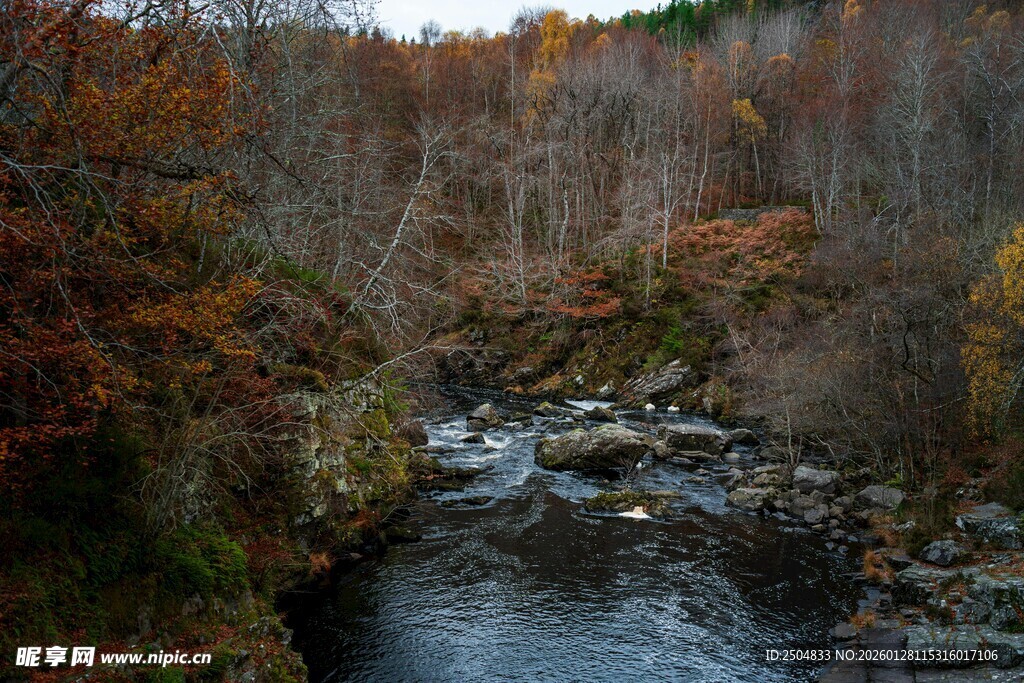 秋日山间溪流美景