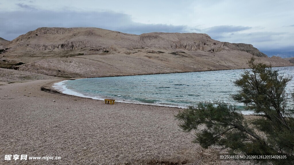 海边沙滩与孤树风景