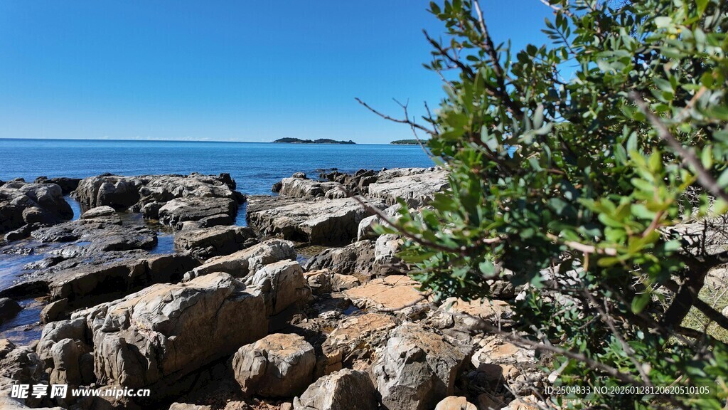 海边嶙峋岩石与绿植景观