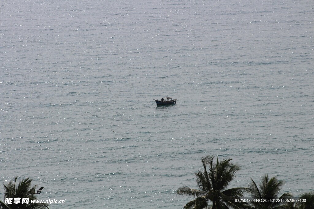 海上孤舟伴椰树