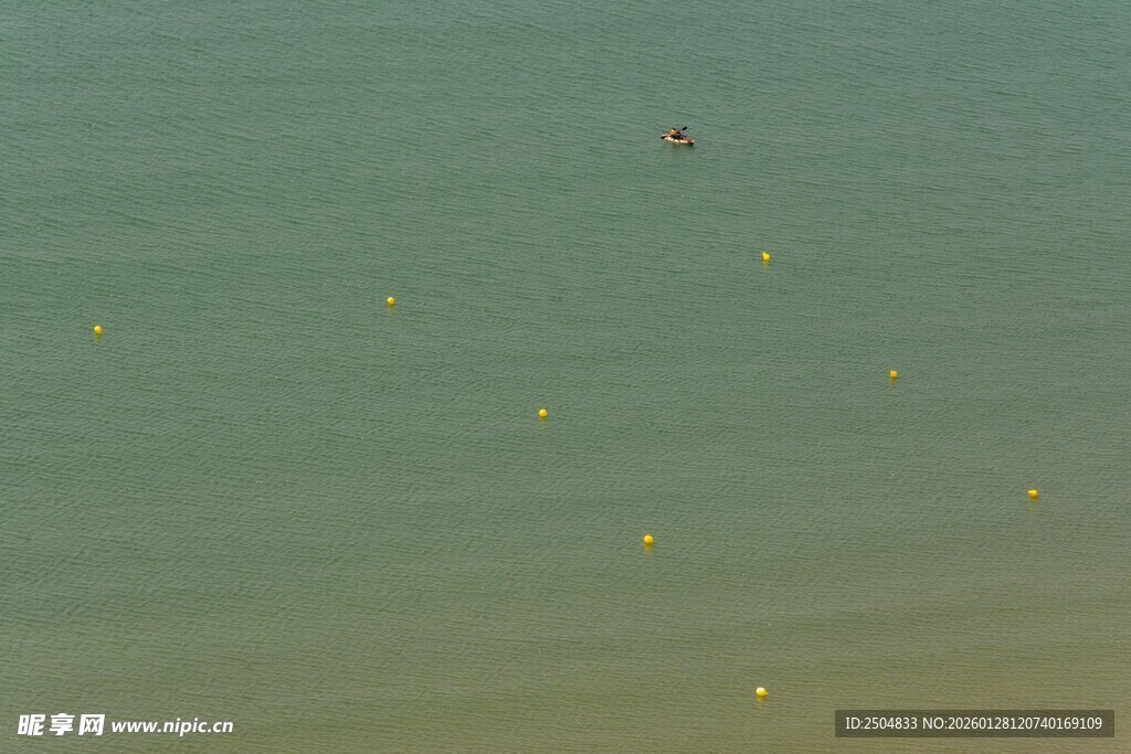 海面上独飞的小小鸟儿