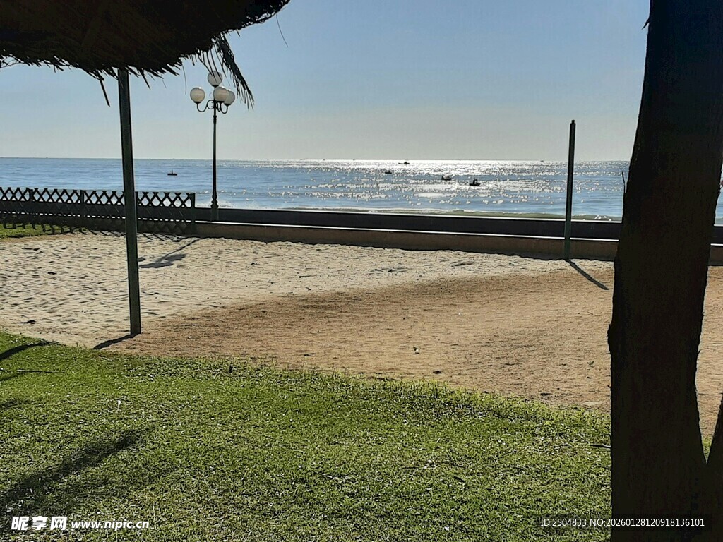 海边沙滩旁的绿荫观景处