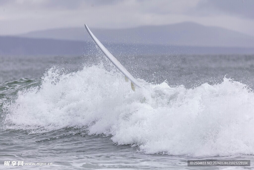 海浪中跃起的银色身影