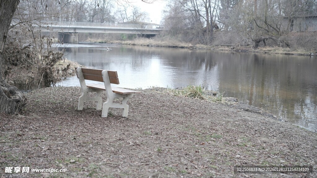 湖畔长椅 静谧自然景致