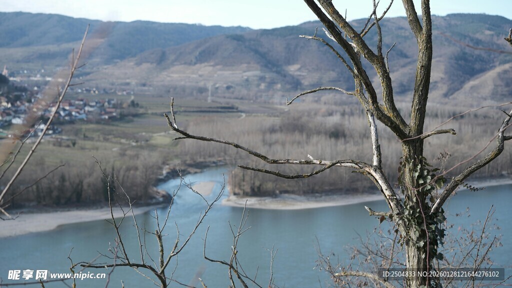 湖畔枯树与远山风景