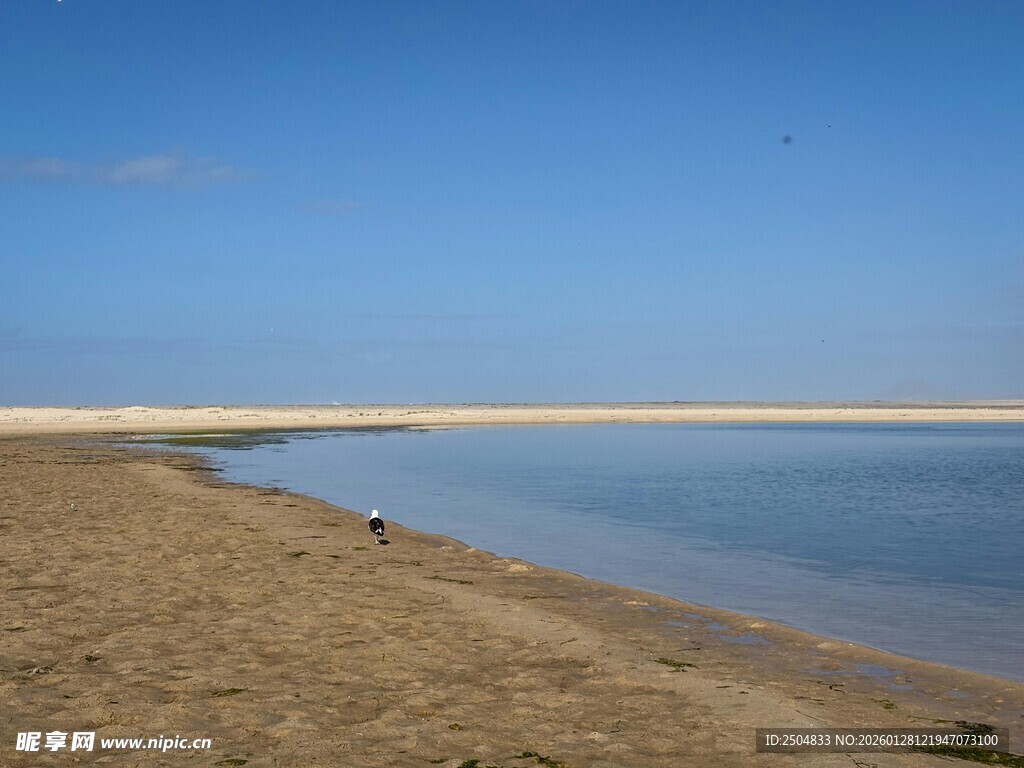 沙滩与水域的宁静风光