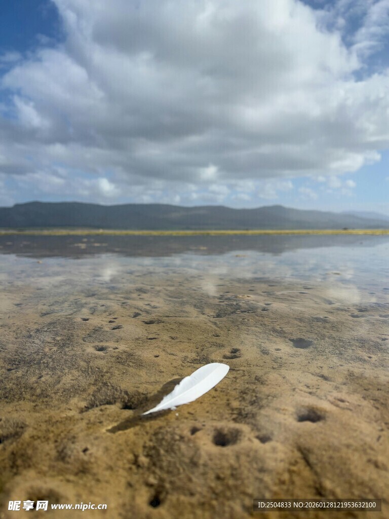 海滩浅水处的白色漂浮物