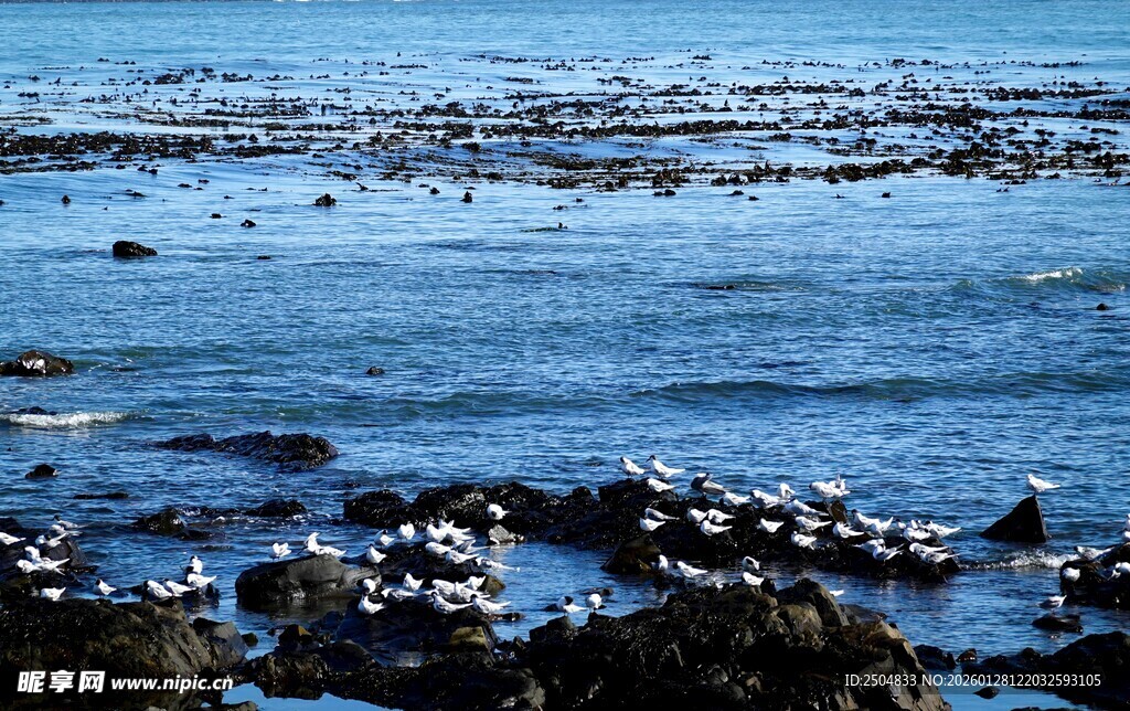 海边礁石与蓝色海水景观