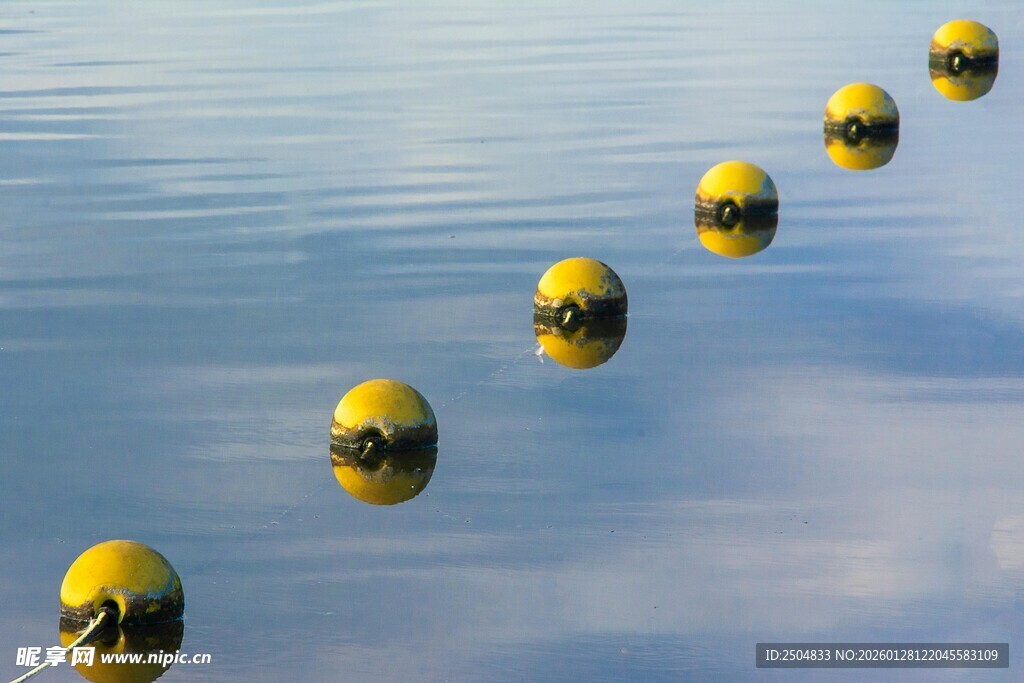 水面上的黄色浮标队列