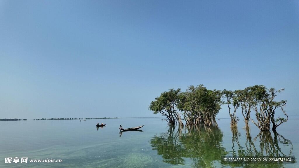水上绿意盎然的独特景观
