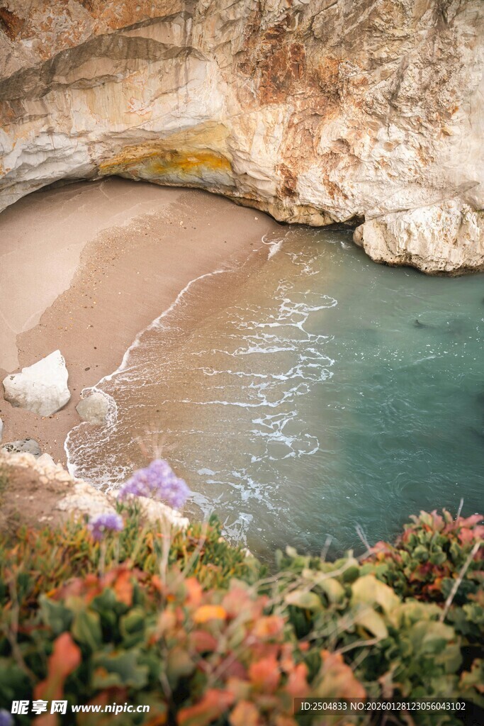 海边洞穴旁的多彩花卉景观