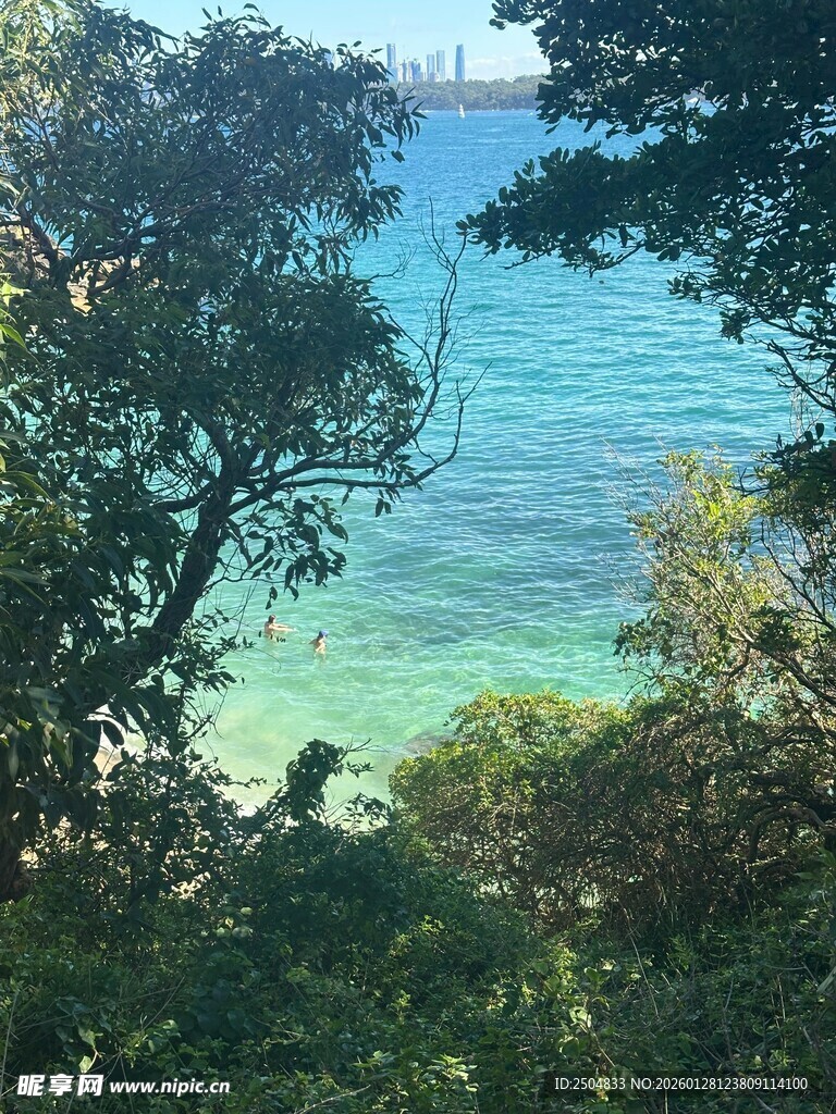 透过树林望碧海蓝天